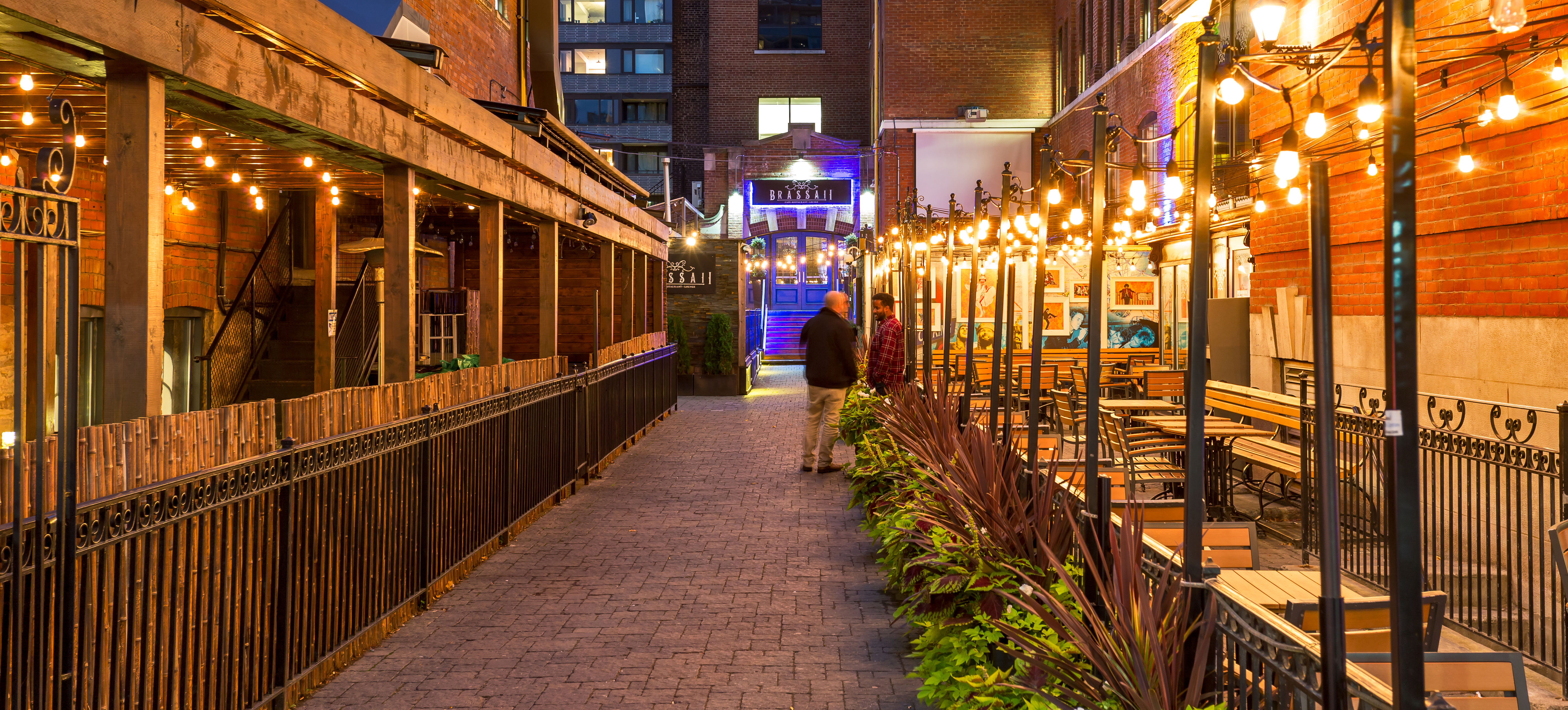brassaii